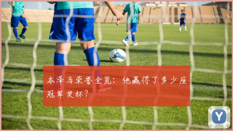 本泽马荣誉全览:他赢得了多少座冠军奖杯?